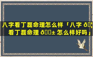 八字看丁磊命理怎么样「八字 🦄 看丁磊命理 🐱 怎么样好吗」